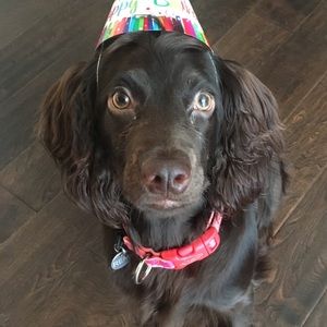 Meet your Posher, Michael